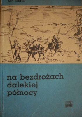 Zbuntowany Niger: Opowieść o powstaniu na północy